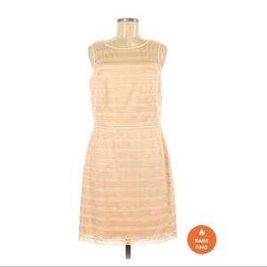 Gianni Bini Cocktail Dress